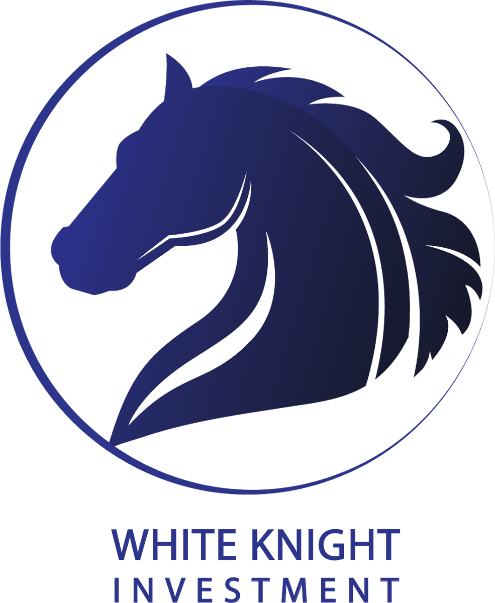 White Knight Investment — Reshaping financial futures.